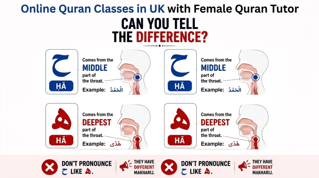 Makharij chart - Online Quran Classes in UK with Female Quran Tutor.